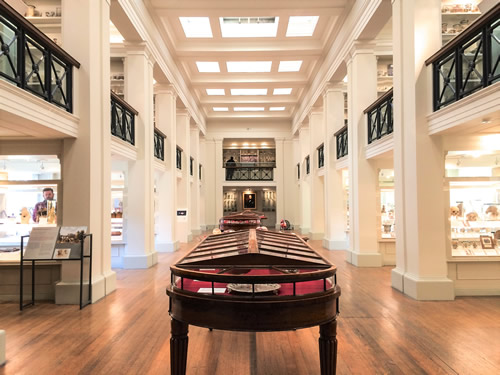 The Wohl Pathology Museum
