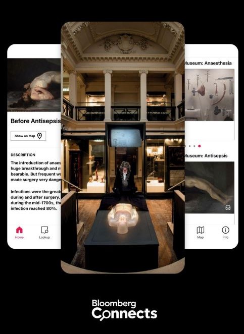 Bloomberg Digital 1