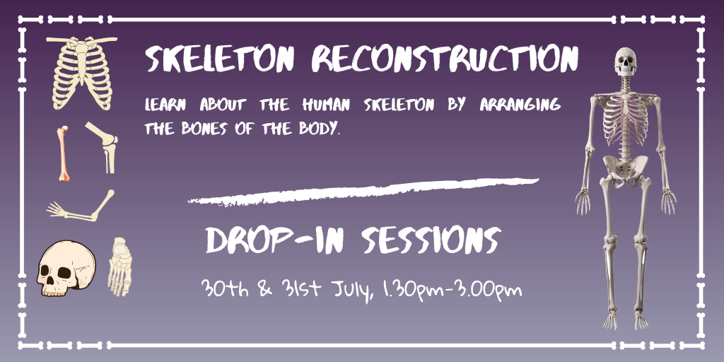 Skeleton Reconstruction Flyer