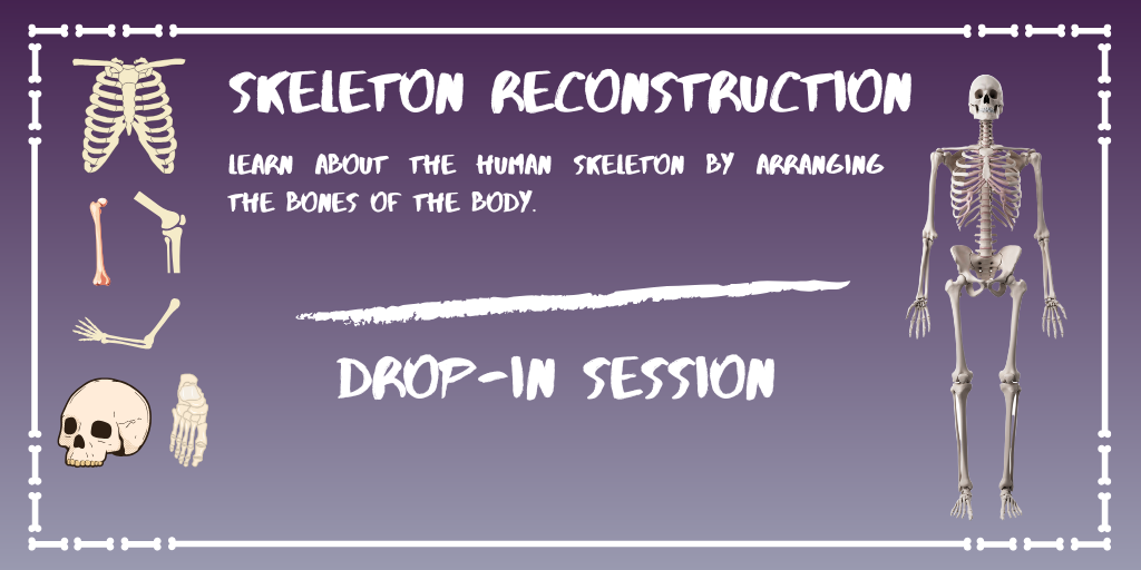 Skeleton Reconstruction Flyer  (1)