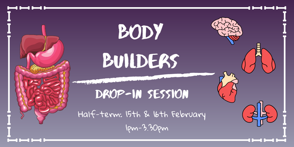 Human Body Model Flyer (1)
